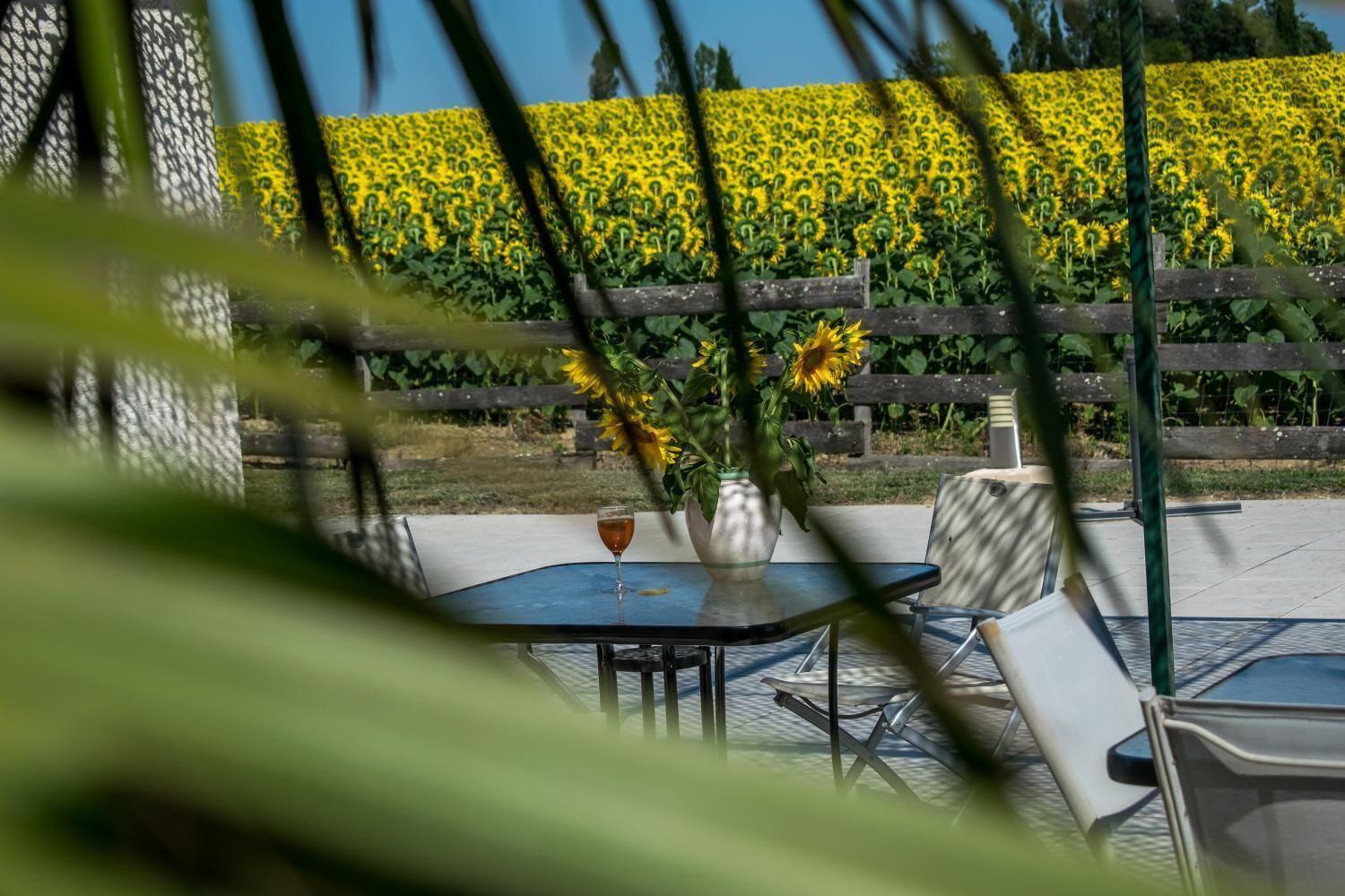 Piscine extérieure (ouverte en saison)