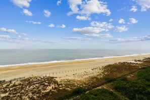 A beach with a fence and vegetation in the foreground, and a clear sky with clouds.