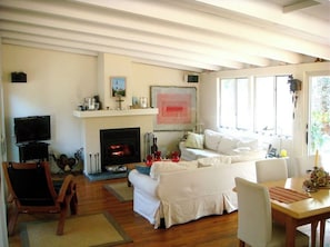 TV, fireplace, DVD player, books