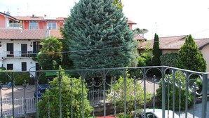 Un quartier résidentiel avec un grand arbre à feuilles persistantes au premier plan, une clôture en métal et des maisons aux toits recouverts de tuiles rouges à l’arrière-plan.