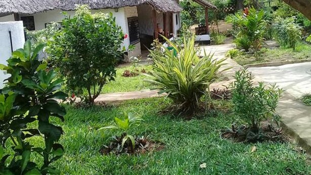Una casa con techo de paja rodeada de exuberante follaje y un jardín bien cuidado.