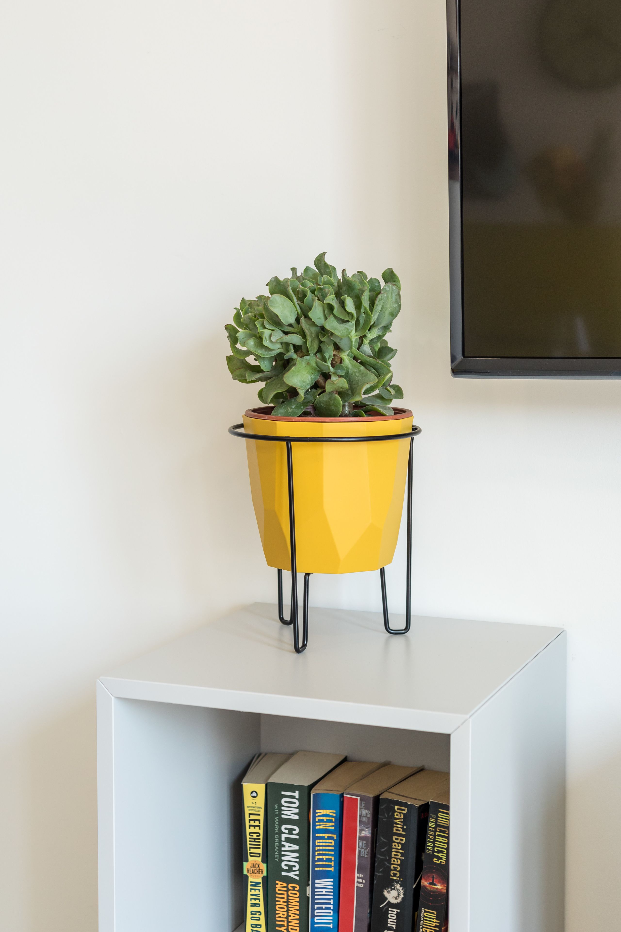 A yellow potted plant on a white shelf with books underneath.