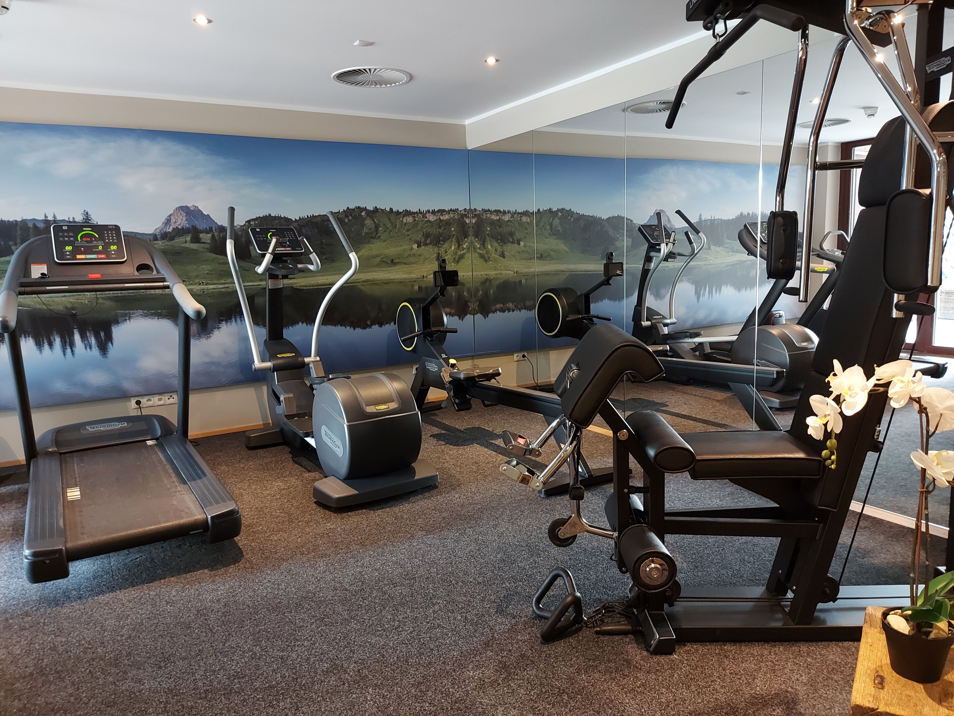 A home gym with cardio equipment, a stationary bike, and a weight machine.