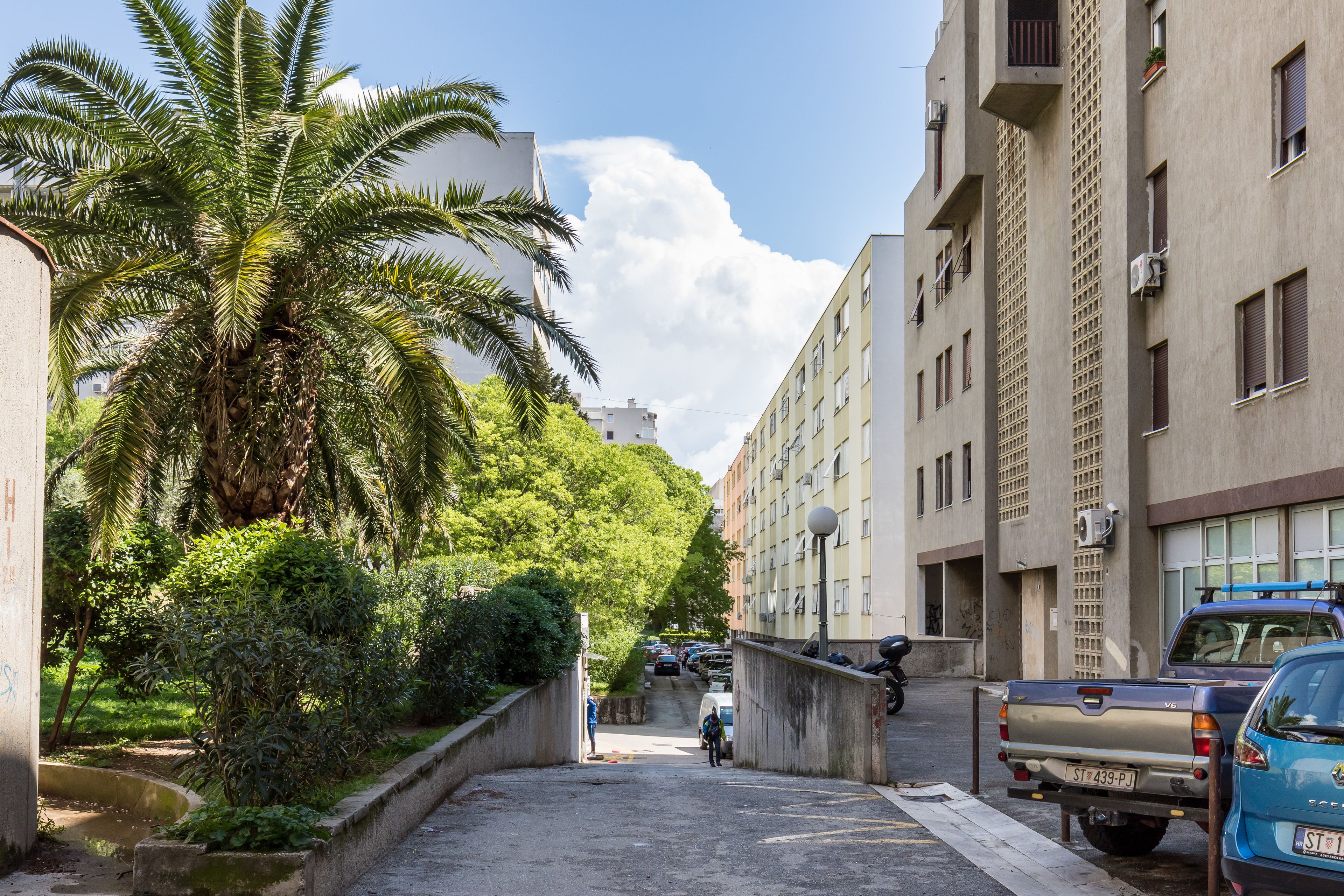 A narrow urban street with parked vehicles, a palm tree, and buildings with balconies and windows.