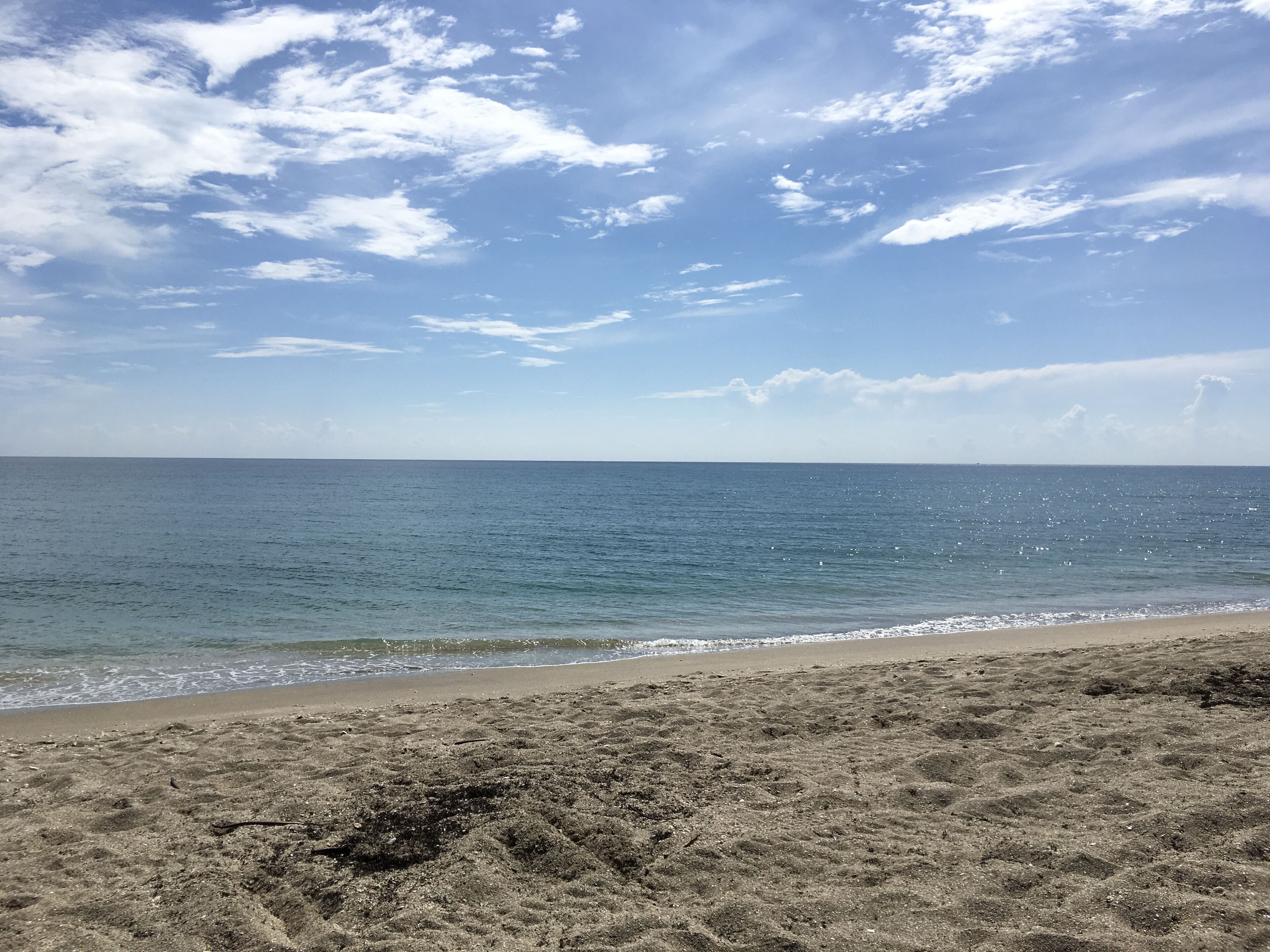 A beach with a sandy shore and a clear blue sky.