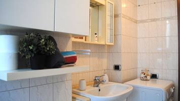 Shower, hair dryer, bidet, towels