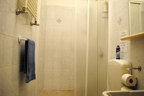 Shower, hair dryer, bidet, towels