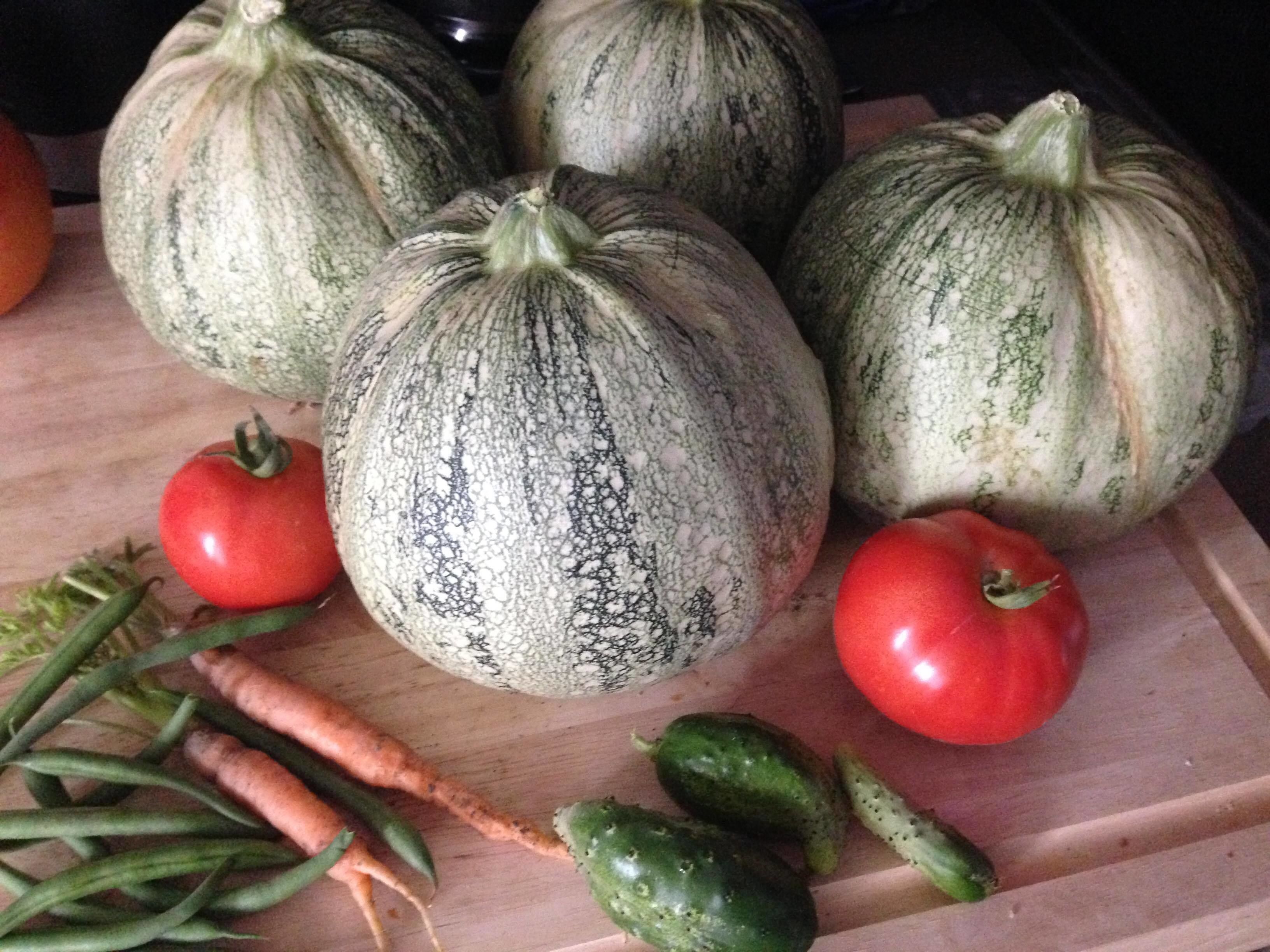 En skärbräda i trä med flera sorters squash, tomater, morötter och gröna bönor.
