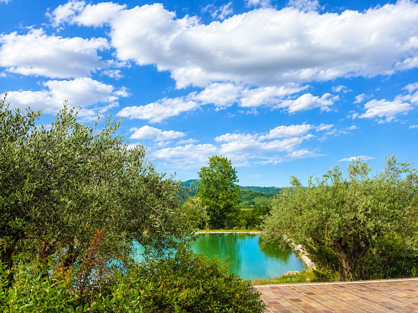 A serene landscape with a clear blue sky, a calm lake, and lush greenery.
