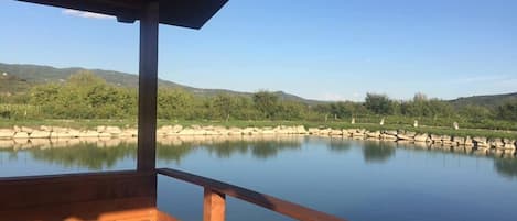 Vue depuis l’hébergement