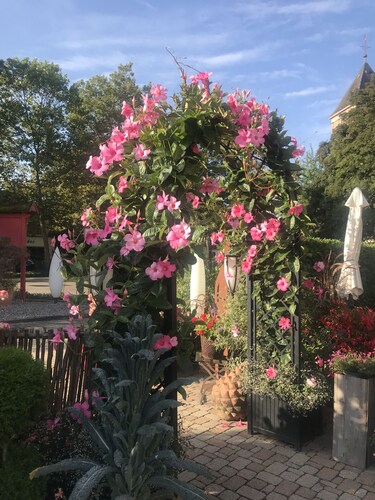 Hotel Schwarzwälder Hof