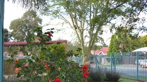A garden with red flowers, a tree, and a blue fence. - Africa Emerald at 47 Petronella (Kempton Park)