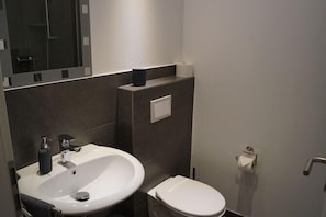 Regadera, regadera tipo lluvia, amenidades de baño gratuitas