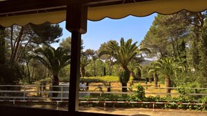 Casa mobile (4 adults + 2 children) | Terrazza/patio