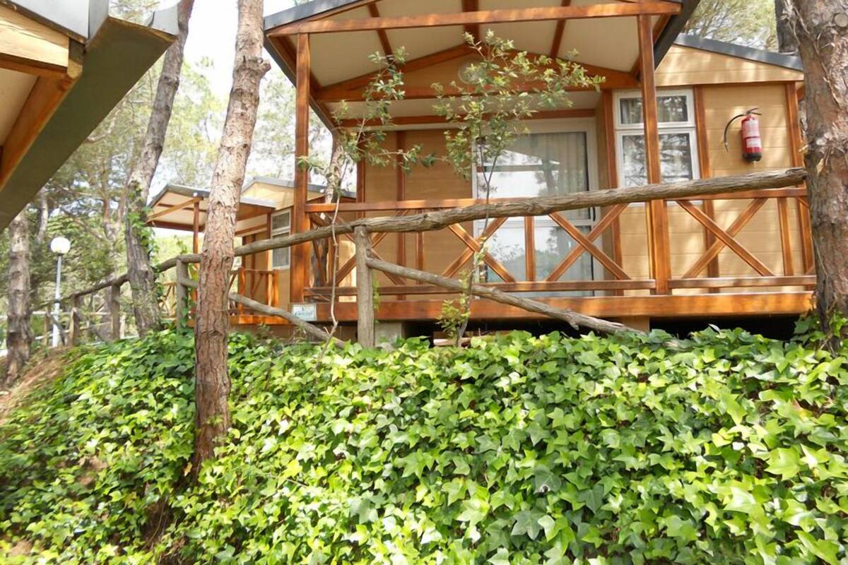 Bungalow (4 persons - A/C) | Terrace/patio