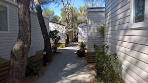 4 adultos + 2 niños - Aire Acondicionado | Terraza o patio