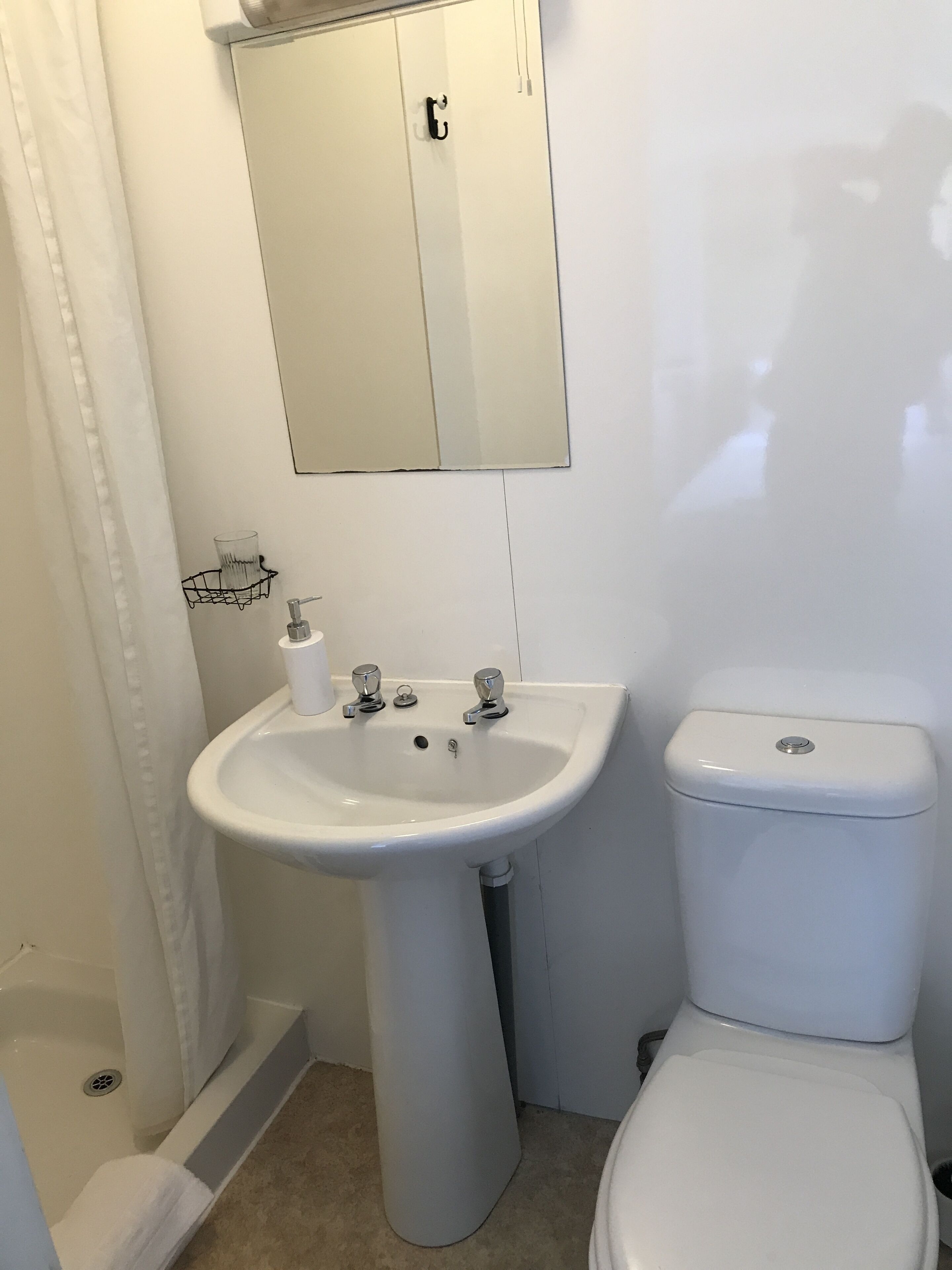 A bathroom with a pedestal sink, a toilet, and a mirror above the sink.