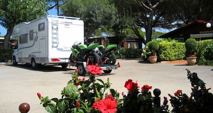 Camping Vall d'Or