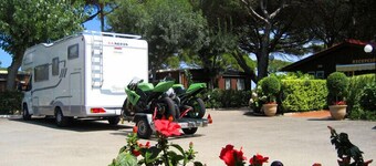 Camping Vall d'Or