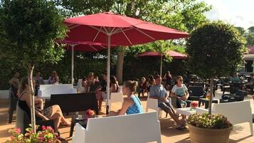 Terras