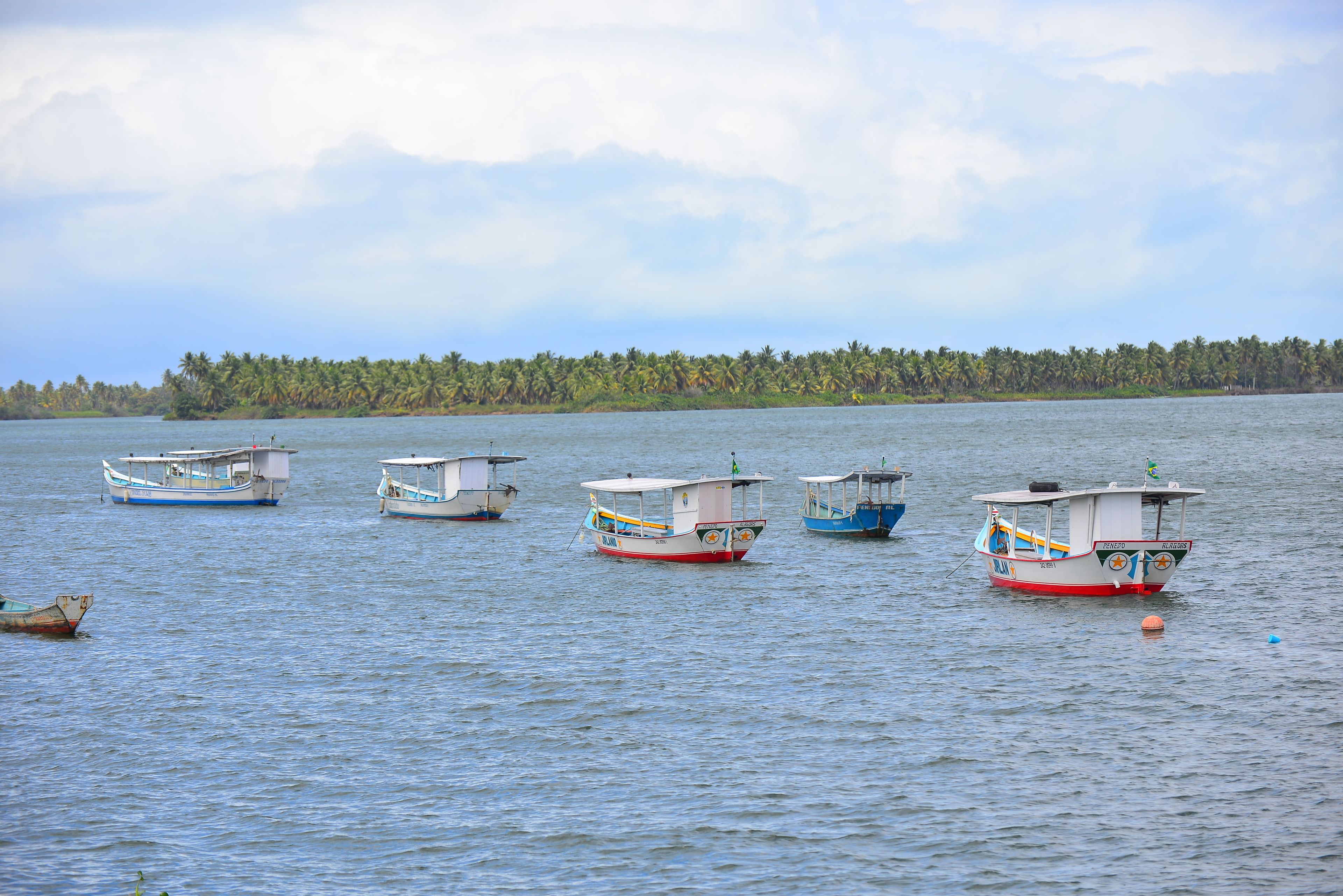 Un lago tranquilo con varias embarcaciones pequeñas amarradas.