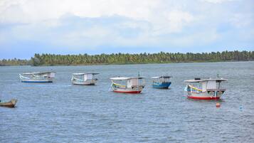 Un lago tranquilo con varias embarcaciones pequeñas amarradas.