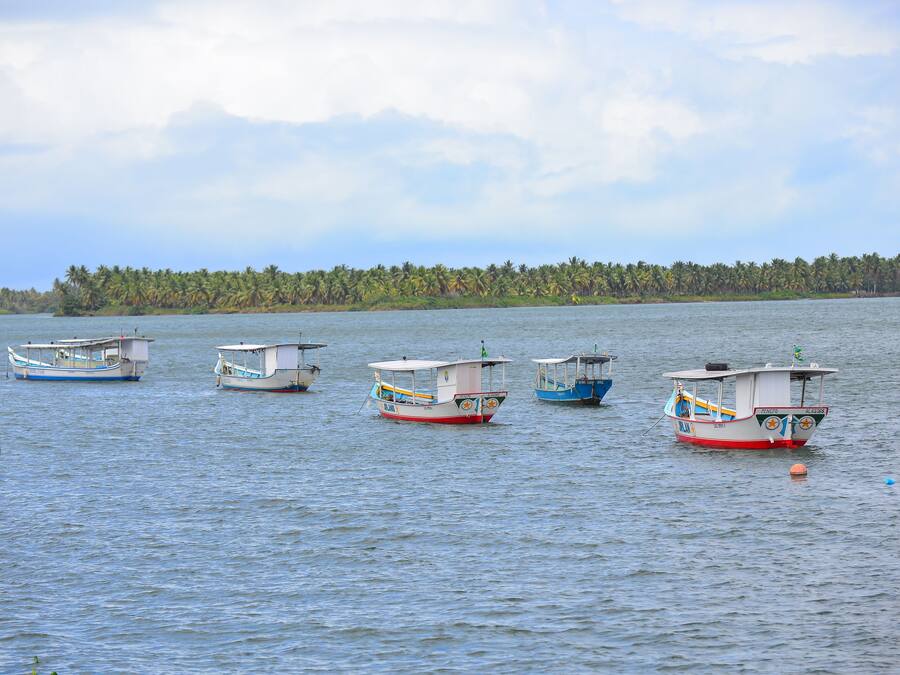 Un lago tranquilo con varias embarcaciones pequeñas amarradas.