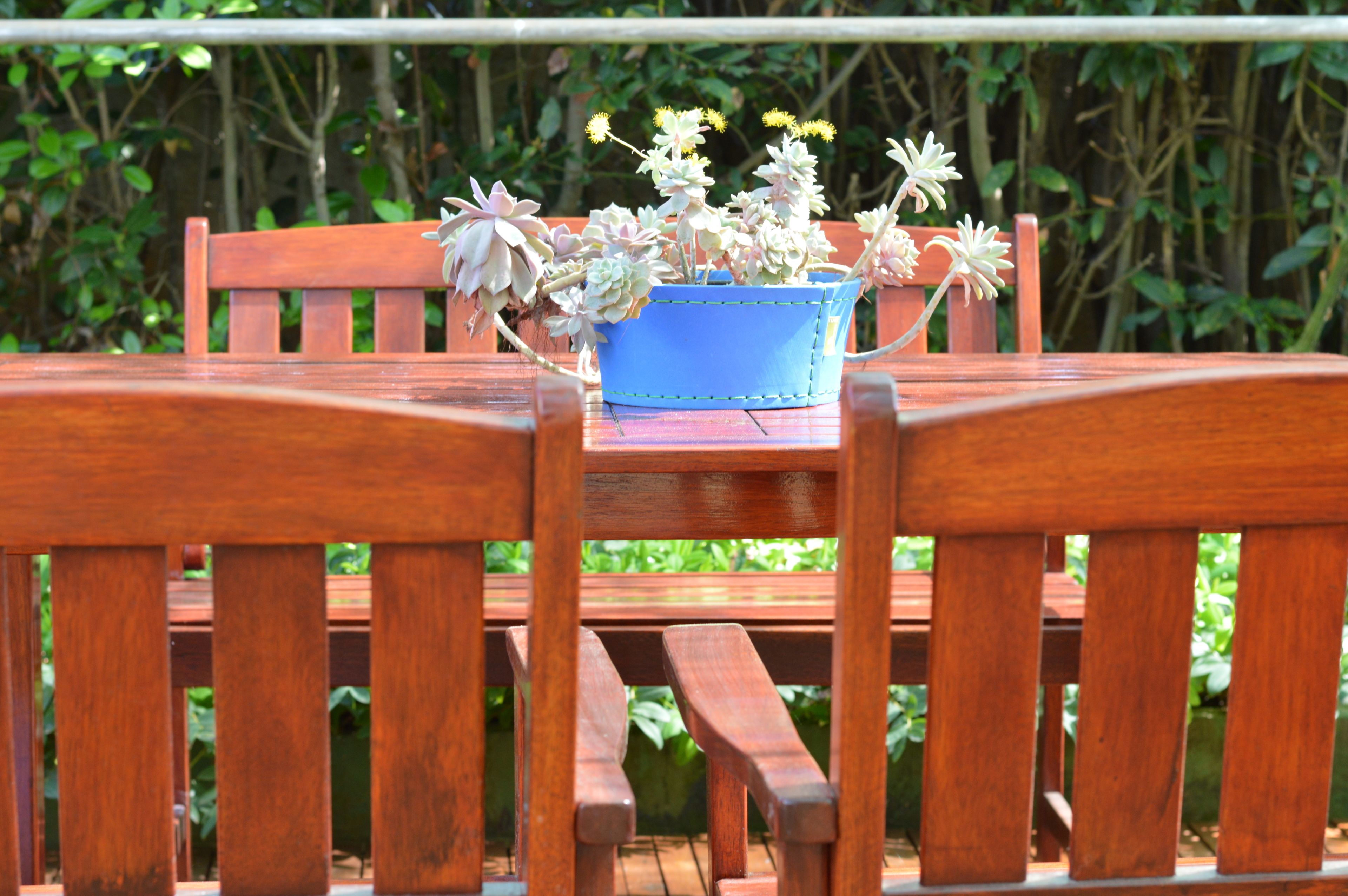 A wooden bench with a blue pot containing succulents.