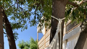 A hammock tied between trees, with a building and a fence in the background.