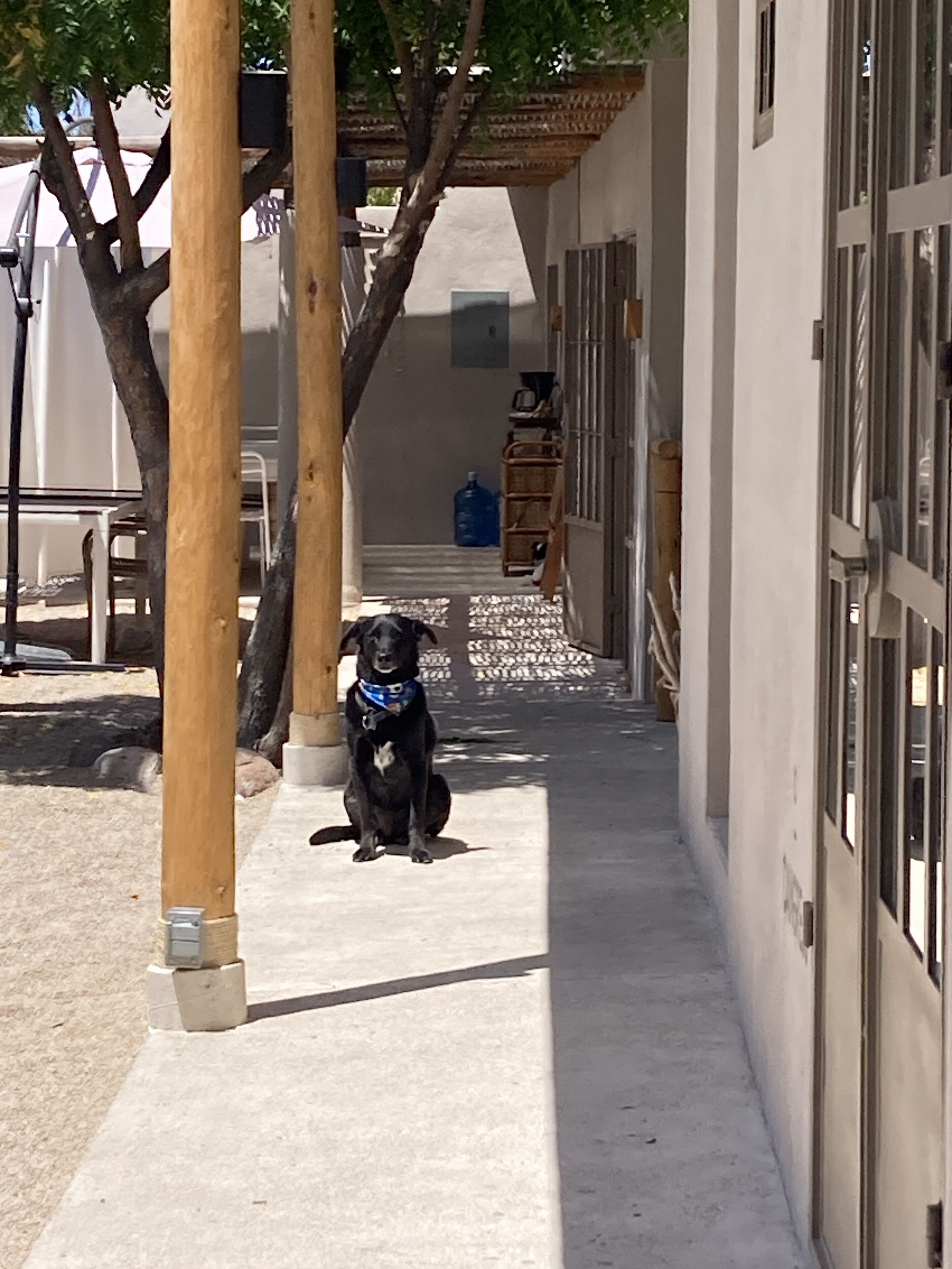 Foto - The Mantarraya Outpost