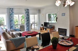 TV, fireplace, books