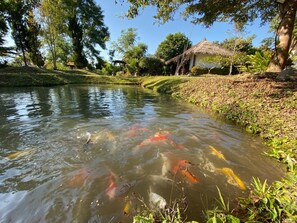 Property grounds - Your Resort (Pai)