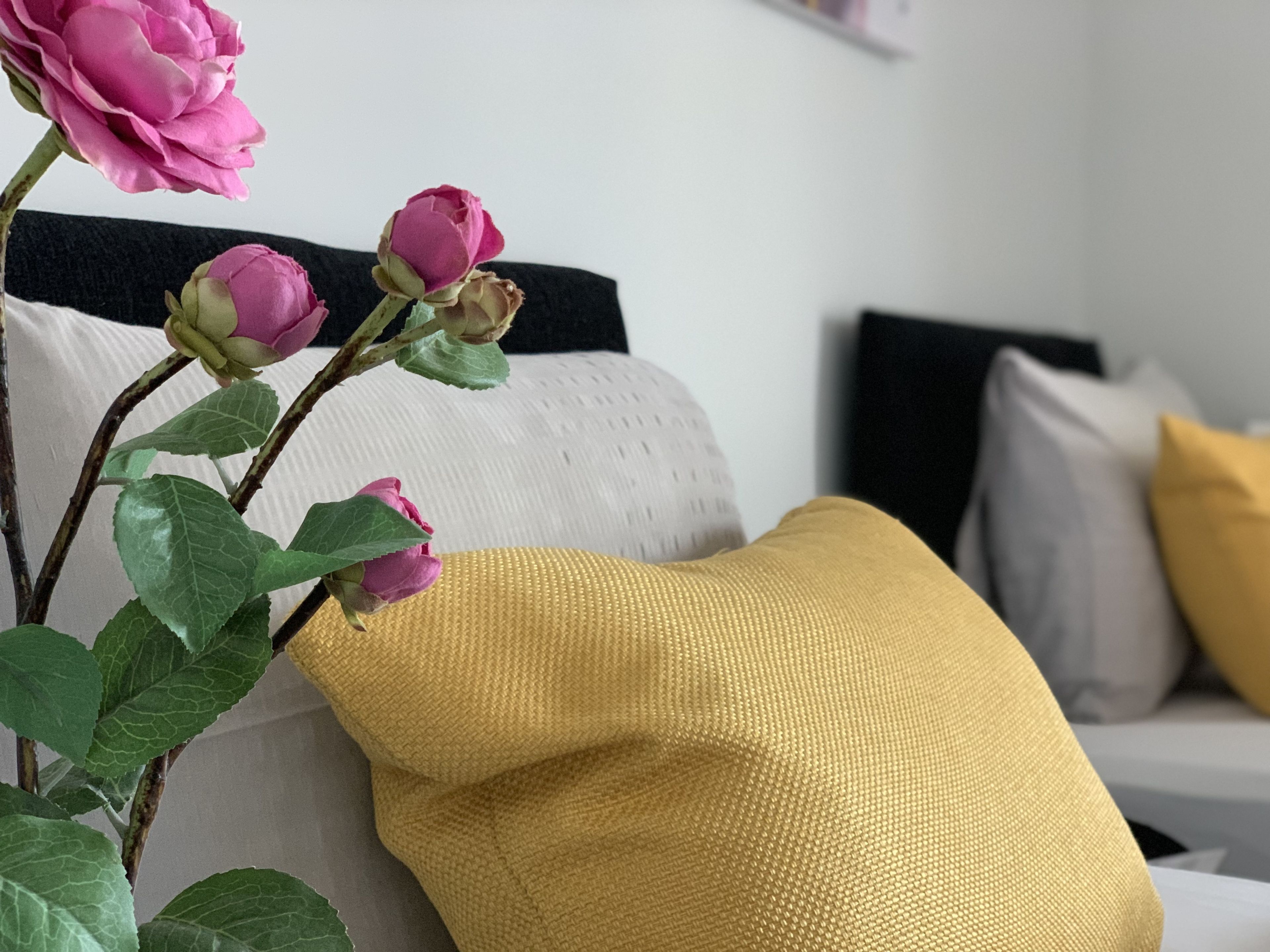 Standard Twin Room | Iron/ironing board, free WiFi