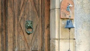 Una puerta de madera con un tirador con forma de cabeza de león, un cascabel y una placa de piedra con un pájaro.