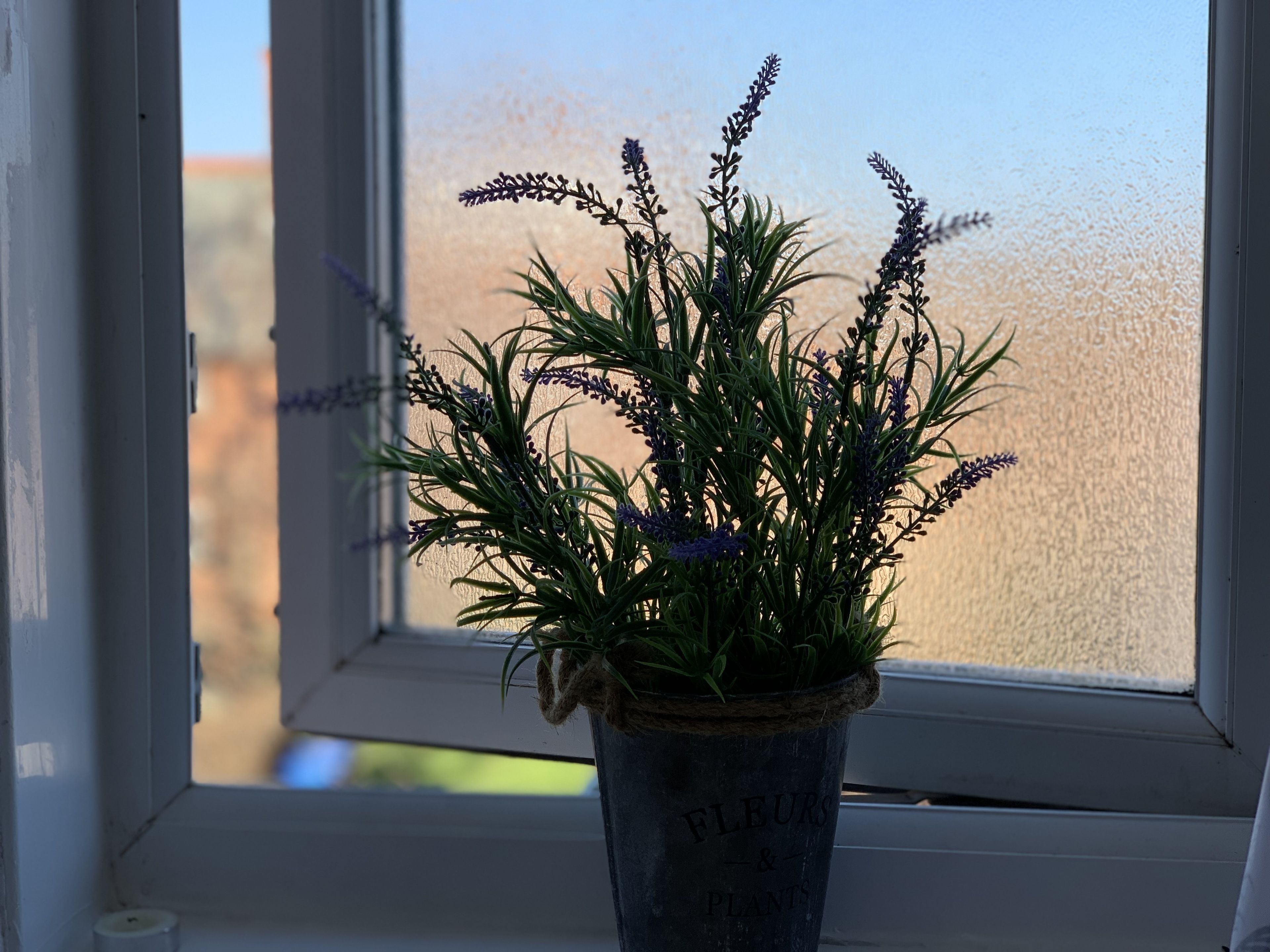 A potted plant with lavender flowers on a windowsill.
