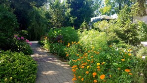 A garden pathway with various plants and flowers. - Hotel Bor (Lhota)