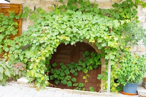 Jardín