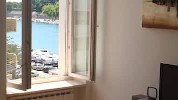 Luxury Apartment, 2 Bedrooms, City View | View from room