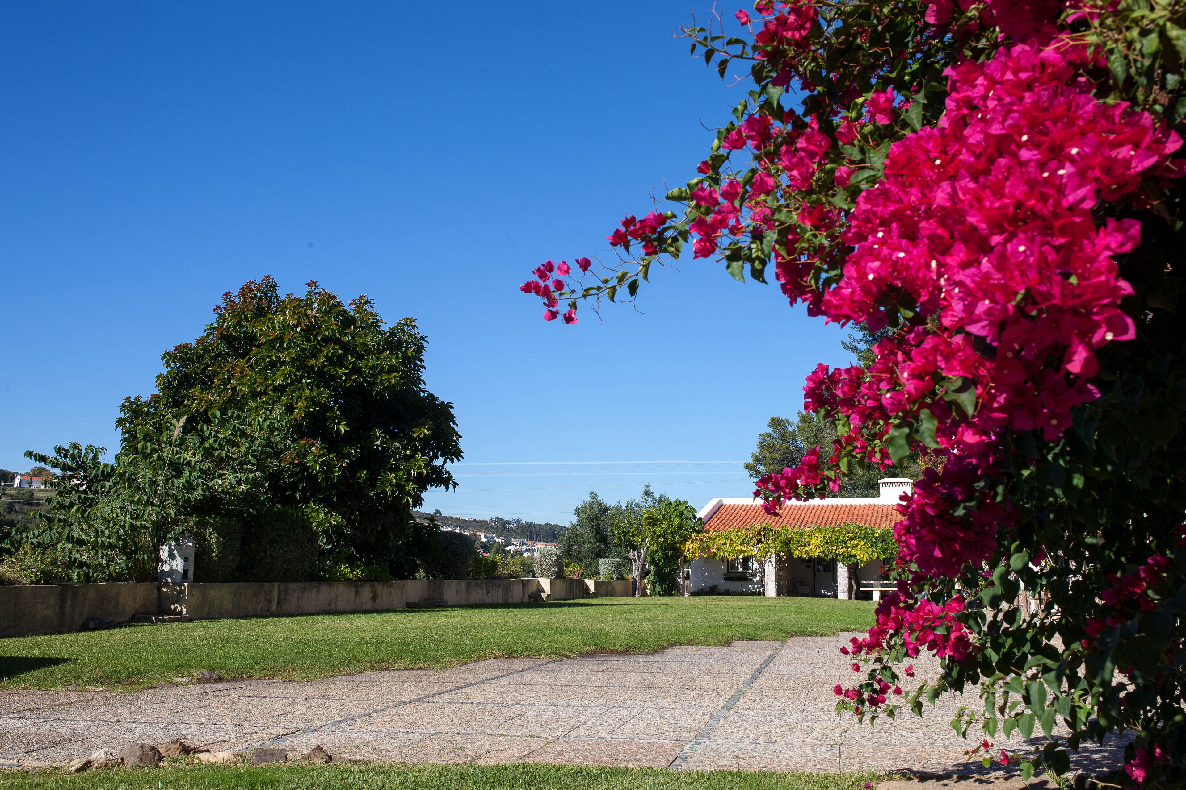 Foto - Lisbon Country Villa