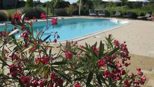 Une piscine à l’eau d’un bleu cristallin, entourée d’une zone dallée où sont disposés des chaises longues et des parasols.