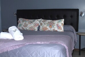 Habitación superior con 1 cama doble o 2 individules, vistas al parque | Mobiliario individual, cortinas opacas, tabla de planchar con plancha