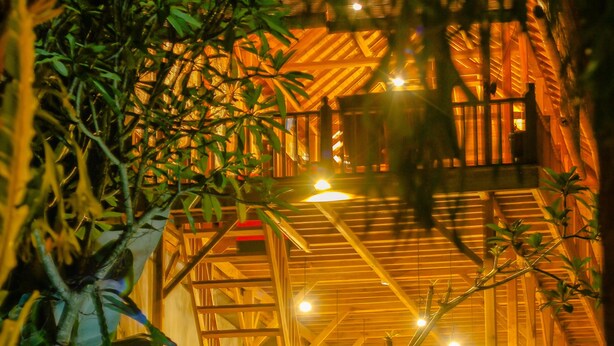 Une structure en bois avec un escalier menant à une zone abritée, le tout entouré de verdure.