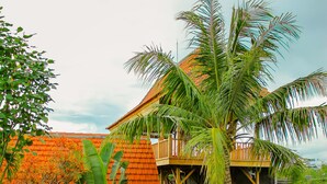 Un bungalow doté d’une terrasse en bois, d’un palmier et d’un sentier aménagé dans le jardin.