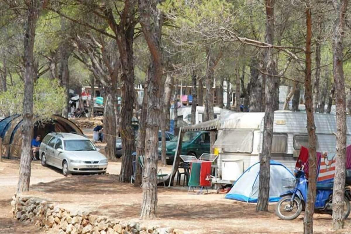 Plot (Campsite. No bed provided. Bring tent) | Free cots/infant beds