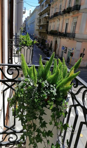 Un balcón con plantas en macetas y vistas a una calle con coches aparcados y edificios.