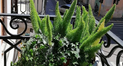 Bari 102 B&B in centro