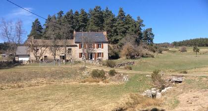 A little corner of paradise