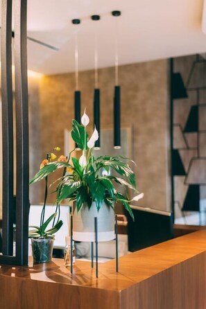 Reception - Hotel Stela Center (Tirana)