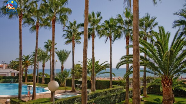Una piscina rodeada de palmeras y vista a la playa.