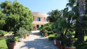 A courtyard with a cobblestone path, potted plants, and a building with a curved facade. - B & B Paradise (Melendugno)